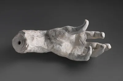 Study of a Hand