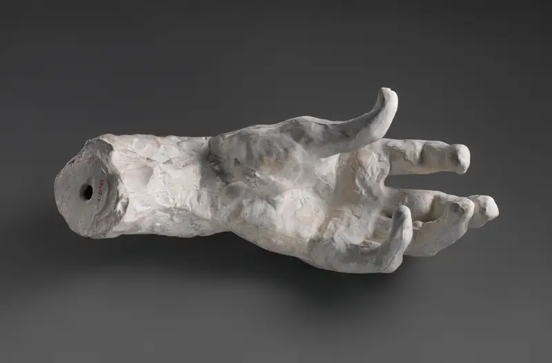 Study of a Hand